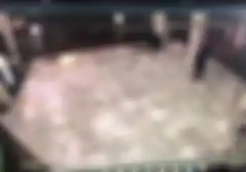 Biadab! Video Pemotor Corat-coret Masjid dengan Gambar Tidak Senonoh, Jadi Buronan Polisi