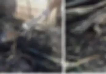 Bali Geger 12 Motor Sport Terbakar Kerugian Mencapai Rp 3 Milyar