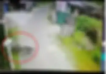 Ajaib! Video Kawasaki Ninja 150R Ngebut dan Tabrak Tembok, Pengendara Terlempar Langsung Berdiri