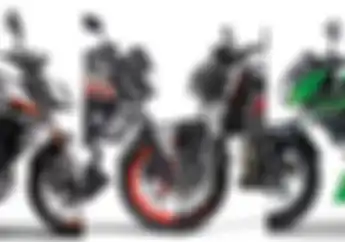 Punya Uang Rp 30 Juta? Bisa Bungkus Motor Sport Naked 250 CC Seken, Ini Variannya
