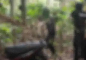Lumajang Geger, Tim Cobra Temukan Motor Bodong di Kebun Kopi, 1 Motor Roda Tiga Ditutupi Daun Kering