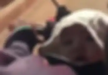 Air Mata Penumpang Menetes, Video Perjuangan Ibu Driver Ojol Bawa Bayi Antar Penumpang Tengah Malam