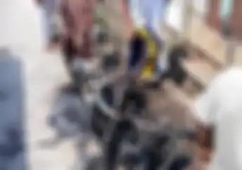 Puspiptek Geger, Sebuah Skutik Hangus Dilalap Api Diduga Korsleting Listrik