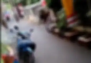 Video Warga Berhamburan Sapi Kurban Lepas Masuk Gang Motor Diseruduk 