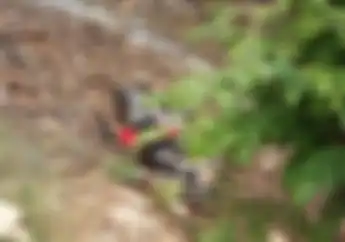 Kurir Ayam Tewas Diduga Korban Begal, Suzuki Smash Hancur di Dalam Kali Krukut