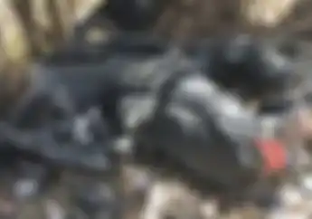 Siswa SMA Kritis, Yamaha NMAX  Hancur Tabrak Honda Supra, Satu Orang Meninggal Dunia