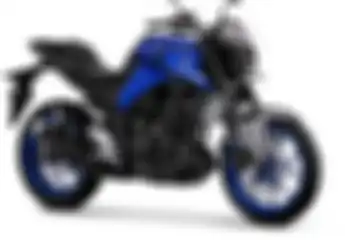 Makin Maskulin, Ini Harga Motor Naked Sport Baru, Yamaha MT-25 