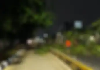 Breaking News! Video Pohon Tumbang Nyaris Menimpa Seorang Ibu Yang Sedang Dibonceng Anaknya