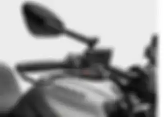 Laris Manis Meski Harganya Tembus Rp 4 Jutaan, Ternyata Spion Rizoma yang Asli Dijual Satuan Bukan Sepasang, Ini Ciri Aslinya