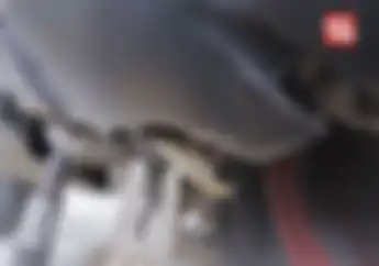 Jarang yang Tau, Pernah Liat Slang Bening Kecil Di CVT Motor Matic? Ternyata Ini Fungsi dan Cara Merawatnya