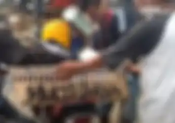 Ternyata Begini Video Trik Membawa Hewan Kurban Menggunakan Motor