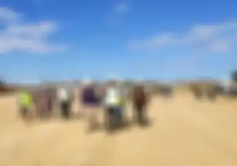 Waduh, Video Pembebasan Lahan Sirkuit MotoGP Indonesia di Mandalika Dapat Perlawanan dari Warga
