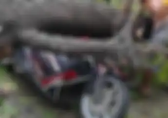 BNPB Himbau Bikers Hati-hati Kalau Neduh di Bawah Pohon Saat Hujan Lebat dan Angin Kencang