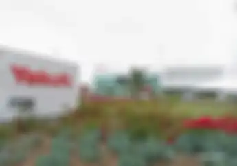 Asyik Ada Lowongan Kerja di PT Yakult Indonesia Persada, Posisinya Banyak Buat Lulusan SMA/SMK, Ini Cara Pendaftarannya
