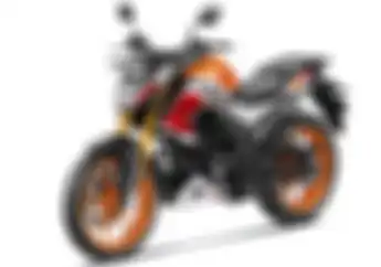 Adu Spesifikasi Honda Tiger Reborn dengan Honda Tiger Versi PT AHM