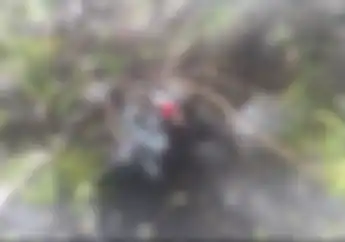 Bikers Waspada Banjir Sampai Pohon Tumbang Di Jakarta, Begini Kata BPBD