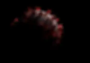Mutasi Virus Corona dari Inggris Sudah Masuk Indonesia, Ini Gejalanya