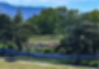 Terciduk, Ada Penonton Di Sirkuit Mugello Saat MotoGP Italia 2021