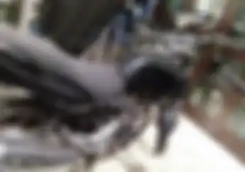 Kolektor Merapat Motor Langka Dilelang Rp  2 Jutaan, Surat-surat Komplit