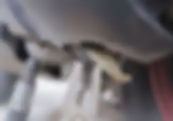 Puluhan Juta Pemilik Motor Matic Tak Tahu Slang Buntu di Bawah CVT Fungsinya Vital Cepat Cek Sebelum Telat