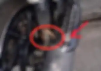Viral Bikers Pasang Kabel Masa di Knalpot Motor, Suara Knalpot Langsung Tambah Adem dan Tenaga Makin Padat