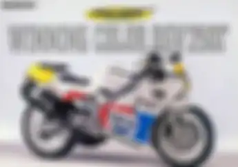 Harta Karun Suzuki RGV250 Pepsi Ditemukan, Ditawar Setara 20 Unit Yamaha NMAX
