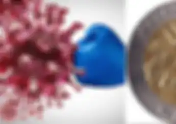 Kandungan Logam Uang Koin Rp 1000  Mampu Bunuh Virus Covid-19 Baru, Pantas Laku Puluhan Juta?