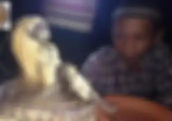 Akhirnya Terungkap Uang Koin Rp 1000 Gambar Kelapa Sawit Laku Rp 300 Juta Dipakai Prosesi Sakral Bujangan