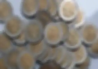 5 Uang Koin Termahal di Dunia, Uang Koin Rp 1000 Gambar Kelapa Sawit Gak Ada Apa-apanya