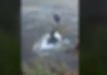 Viral, Video Sekumpulan Pria Mancing Ikan Malah Dapat Motor Honda BeAT