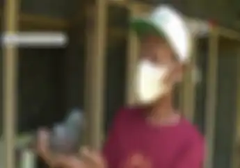 Laku Terjual Burung Merpati Harganya Setara Puluhan Unit Honda BeAT, Kisah Pemiliknya Jadi Sorotan