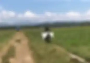 Rossi dan Marquez Gemetar Lihat Aksi Petani Pacu Motor di Tengah Sawah