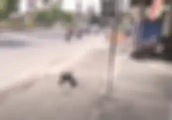 Bikin Merinding, Heboh Video Makam Keramat Di Pinggir Jalan, Gak Boleh Dipindah?