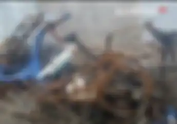 Geger, Polisi Dimutasi Gara-gara Laporkan 3 Rekannya Diduga Curi Onderdil Kendaraan Dinas