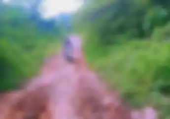 Guru di Purwakarta Naik Motor Bebek Libas Jalur Adventure Demi Bisa Mengajar
