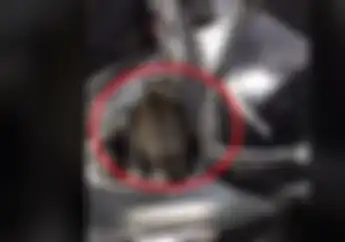 Video Cewek Nangis ke Bengkel Bukan Mau Servis Motor, Tapi Mau Keluarin Ini