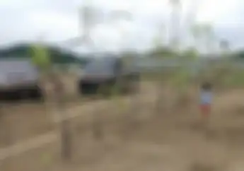 Jelang Tes MotoGP Indonesia 2022, Warga Pagari Sirkuit Mandalika Dengan Pohon, Ada Apa?