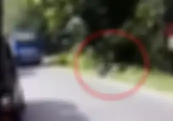 Ngilu, Video Bus Rela Ugal-ugalan Ngeblong Bikin Pemotor Nyungsep, Lalu Ditinggal Kabur