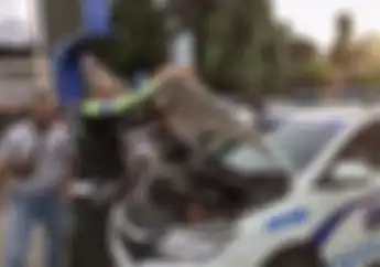 Petugas Dishub Kawal Mobil Mewah Lawan Arus di Puncak Saat Tahun Baru, Langsung Ditilang Polisi