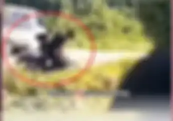 Koplak, Video Pria Salting Digodain Cewek Sampai Tabrak Pemotor Lain