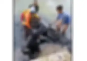 Malunya Seminggu, Video Pemotor Cewek Berhijab Jatuh Ke Sawah, Badan Penuh Lumpur
