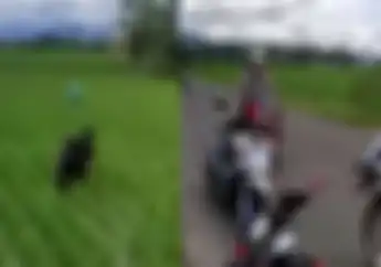 Kocak, Video Pemotor Nyamar Jadi Petani, Ternyata Menghindari Tilang Polisi