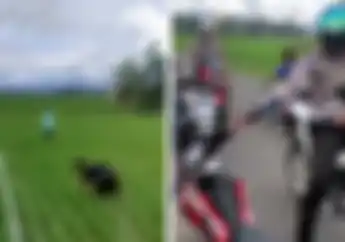 Video Pemotor Malah Pura-pura Garap Sawah Saat Ketemu Polisi, Ini Faktanya