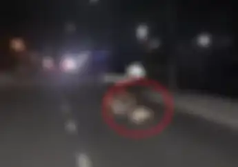 Gak Punya Hati, Video Pemotor Siksa dan Seret Seekor Anjing Hidup-hidup