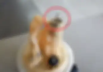 Motor Injeksi Jadi Makin Irit dan Kencang Hanya Bermodal Pentil Ban Uang Jajan Jadi Lebih Hemat 