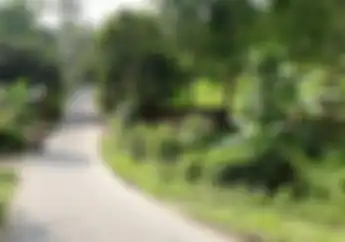 Pilihan Jalan Alternatif Menuju Puncak Bogor, Jangan Dibocorin Nih