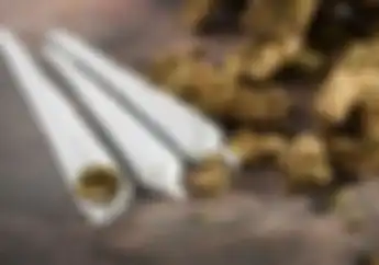 Di Thailand Ganja Dilegalkan Boleh Dikonsumsi dan Ditanam Pemotor