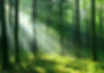Serem, Rombongan Polisi Nyasar di Hutan, Mau Razia Baru Nemu Jalan Keluar Saat Subuh