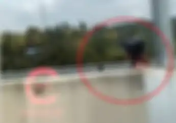 Bikin Geleng-geleng Kepala, Video Emak-emak Naik Motor Lawan Arah Terobos Jalan Tol di Pekanbaru