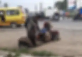 Cerita Biker Vespa Ekstrem Mudik dari Sabang ke Malang, Kangen Sambal Buatan Emak